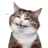 😁