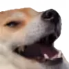 😁