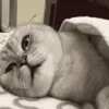 😒