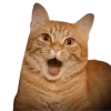 😲