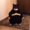 😡