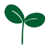 🌱