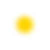 🟡