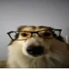 🤓