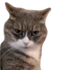 😠