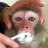 🦷