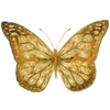 🦋