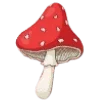 🍄