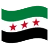 🇸🇾