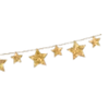 🌟