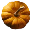 🍂