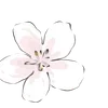 🌸