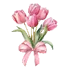 🌷