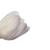 🤍