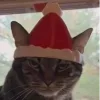 🎅