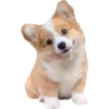 🐕