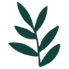 🌿