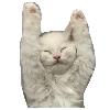 🐱