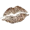 🐆
