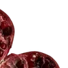 🔴