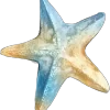 🌟