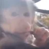 😱