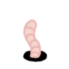 🪱