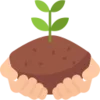 🌱