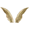 🪽