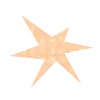 🌟