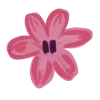 🌺