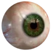 👁️