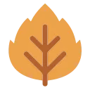 🍂