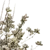 💐
