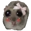 🎀