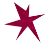 🌟