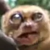 😳