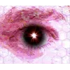 👁