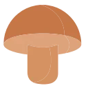 🍄