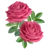 🌹