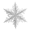 ❄️