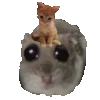 🐱