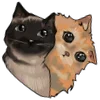 😸