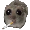🚬