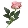 💐