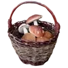 🍄
