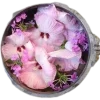 🌸