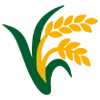 🌾