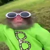 😎