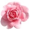 🌹